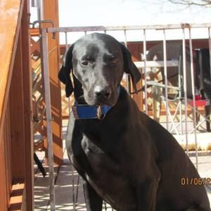 Meet your Posher, Barbara